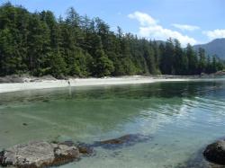 Clear water along 3rd beach on Rugged Point trail, BC